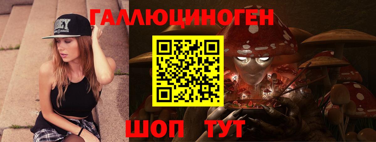 Петрозаводск  Галлюциногенные грибы прущие грибы  Вход с VPN 